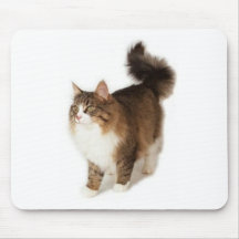 Norsk skogkatt mus matta