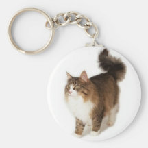 Norsk skogkatt nyckel ringar