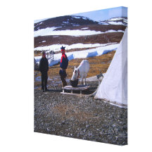 Norway, Sami settlement on the Lapland tundra Stretched Canvas Prints