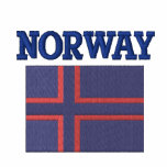 Norwegian Flag Hoody