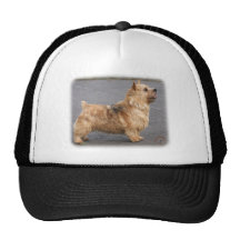 Norwich Terrier Baseball Hat