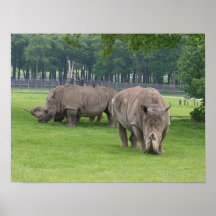 Noshörningvanvett Print