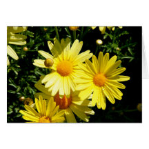 Notecard gula blommor hälsningskort