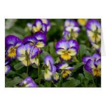 Notecard lilor och gula blommor hälsnings kort