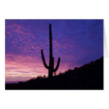 Notecard Marshmellow rosa solnedgång Arizona Hälsningskort