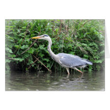 Notera kortet: Heron