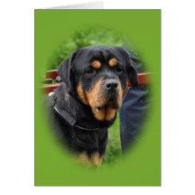 Notera kortet: Hund