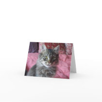 Notera kortet med kattungefotoet