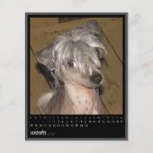 november 2012 kalender full färg flygblad
