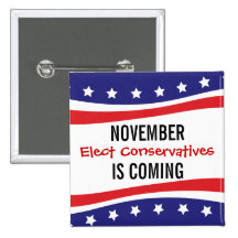 NOVEMBER ÄR KOMMANDE - utvalda konservativ Knappar Med Nål