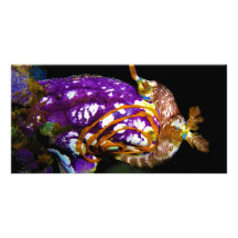Nudibranch som lägger ägghavsputtefnasket Polycarp Anpassade Foto Kort