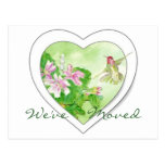 Ny adress Hummingbird, ny hem- vykort