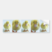 Ny Duckling Bildekaler