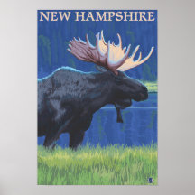 Nya HampshireMoose i månsken Posters