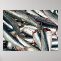 Nya sardines affischer