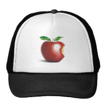 NYC New York City Apple Trucker Keps