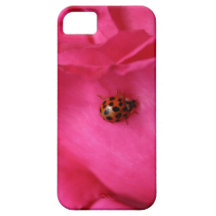 Nyckelpiga och en ro iPhone 5 Case-Mate fodral