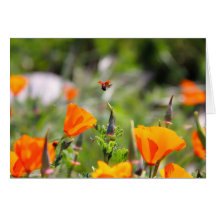 Nyckelpiga som flyger av blomma hälsnings kort