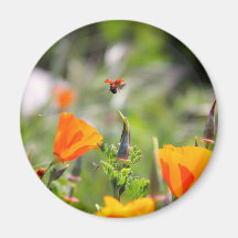 Nyckelpiga som flyger av blomma kylskåpsnagnet