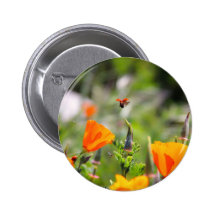 Nyckelpiga som flyger av blomma pins