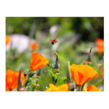 Nyckelpiga som flyger av blomma vykort