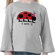 Nyckelpigafödelsedagskjorta T-shirts