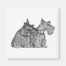 Nyfikna skotska Terriers skrivar, & bläck skissar Magneter