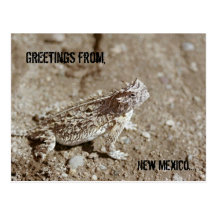 Nytt - mexico Horned paddavykort