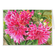 Oavkortad blom för Dahlias