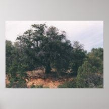 obetitlat print