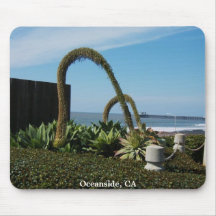 Oceanside Ca, Mus Mattor