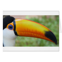 Öga av Toucanen Hälsningskort