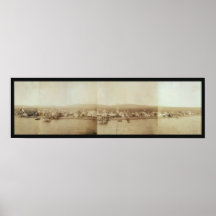 Ögat för 1899 fåglar beskådar av Nome, långt foto  Posters
