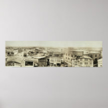 Ögat för 1904 fåglar beskådar, Douglas, långt foto Posters