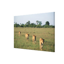 Okavango delta, Botswana 4 Canvastryck