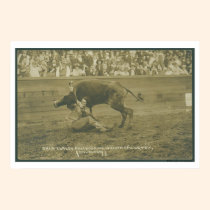 Oklahoma Culy bulldogging. affischer
