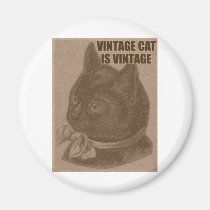Olde LOLcat magneter
