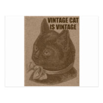 Olde LOLcat vykort