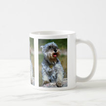 Olga """" Schnauzer Kaffe Mugg