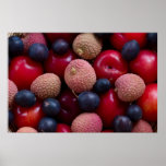 Olikt frukttryck affisch