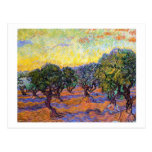 Olivgröna träd, orange himmel Van Gogh Vincent Vykort