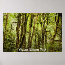 Olympisk nationalpark posters