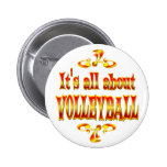 OM VOLLEYBOLL PINS