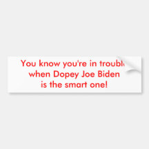 Omtöcknade Joe Biden är den smart Bildekaler