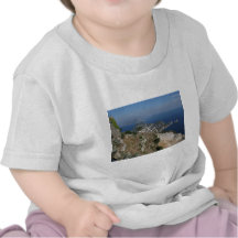 Ön Capri beskådar med Faraglioni baktill T Shirts