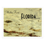 Önskemål från, Florida… Vykort
