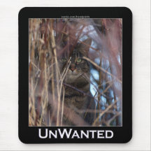 Oönskad vild katt Mousepad Musmattor