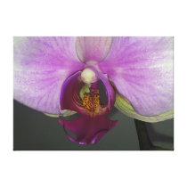 OOOH-orchid canvastryck
