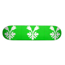 Oppland (norge), norge skate boards