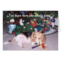 OpusBeaglejulkort